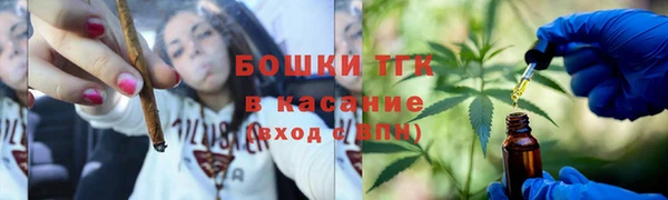 mdpv Богородицк