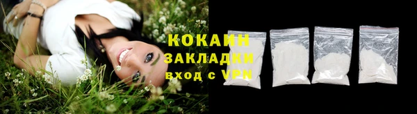 mdpv Богородицк
