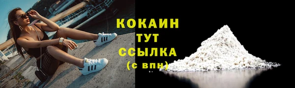 гашик Богородск
