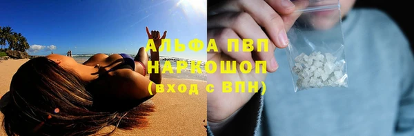 MDMA Тайга