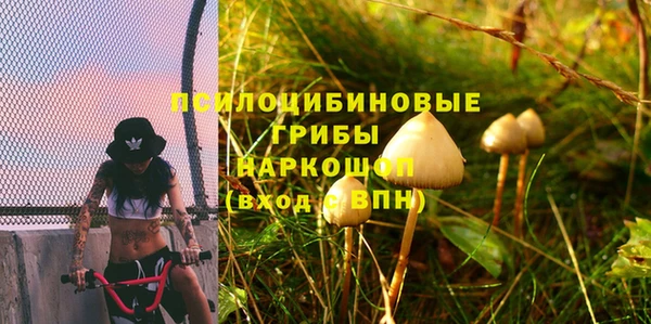 не бодяженный Богданович